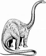 Dinosaur Coloring Pages Animated Apatosaurus Dinosaurs Brontosaurus Gifs Coloringpages1001 Gif Do sketch template