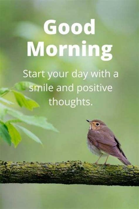 good morning quotes good morning start your day smile and positive