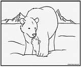 Tundra Coloring Pages Arctic Animals Printable Designlooter Drawings Template sketch template