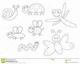 Coloring Insects Pages Bugs Insect Template sketch template