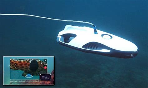underwater drone tracks   lures fish   hook underwater drone underwater farm heroes