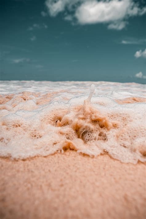 pink sand  beach  stock photo