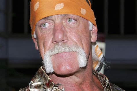 Hulk Hogan Trial Judge Says Press Can Stay In Court But Still Can T