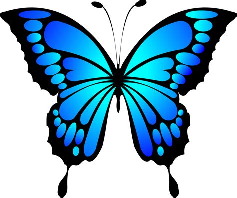botany blue butterflies png descargar imagen png arts