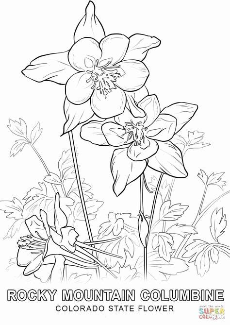 state flower coloring pages   flower coloring pages bird