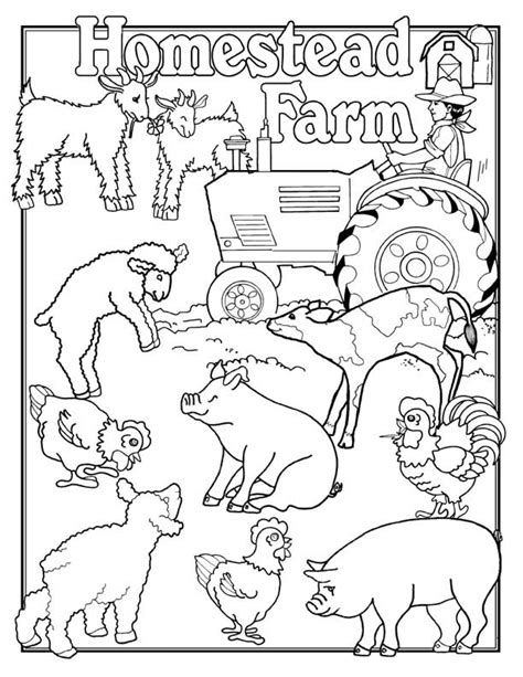 farm animal coloring page coloring home