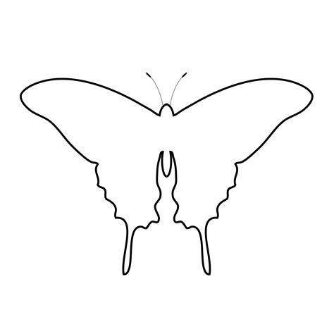 butterfly outline clipart  stock photo public domain pictures