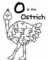 Coloring Ostrich Ox Musk Pages Color Getdrawings Getcolorings sketch template