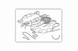 Kitten Ball Coloring Wool Red Cat Pages sketch template