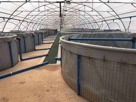 mesh tank  diameter products shop  aquaculture innovations