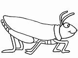 Grasshopper Coloring Pages Kids Printable Color Preschool Bug Kindergarten Colouring Grasshoppers Print Choose Board Preschoolcrafts Colorful Drawing Animals sketch template