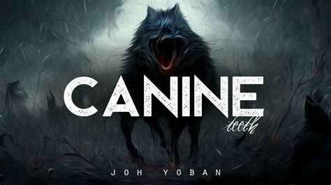 canine teeth joh yoban lyrics youtube