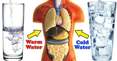 warm water  cold water  damages  health health queen