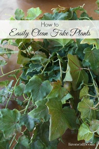 easily clean fake plants  liz