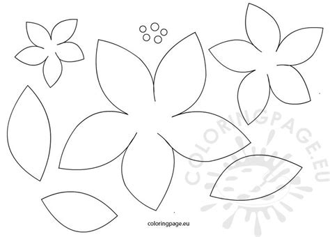 poinsettia flowers patterns coloring page