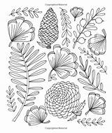Botanicals Coloring sketch template