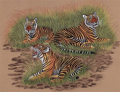 royal bengal tiger painting hand painted indian wild life nature