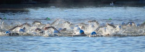 tips    open water swimming    level