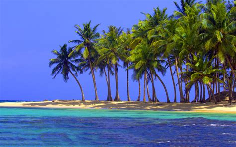tropical beach  wallpaper