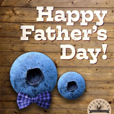 happy fathers day falconglen certifiedorganic blueberries