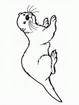 Otter Sea Coloring Drawing Pages Drawings Kids Simple Template Line Animal Templates Otters Printable Baby Getdrawings Designlooter Sketches Book Animals sketch template