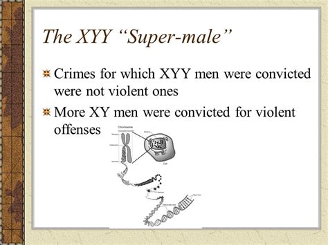 Xyy Syndrome And Crime Pregnant Health Tips