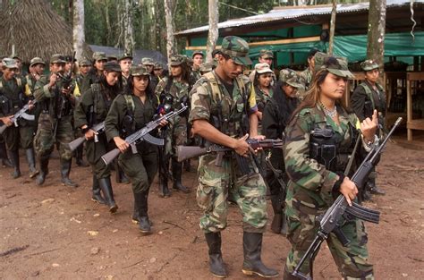 colombia alerta  la guerrilla mantiene una retaguardia estrategica en venezuela