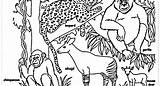Endangered Animals Coloring Pages Extinct Drawing Species Getdrawings Getcolorings sketch template