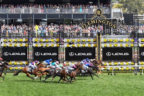 big nominations   melbourne cup caulfield cup sports news
