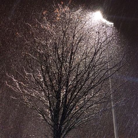 het sneeuwt buffieke flickr
