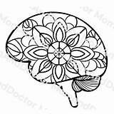 Neurology sketch template