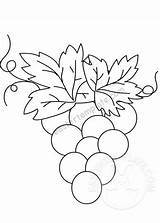 Bunch Grapes Coloring Template Pdf sketch template