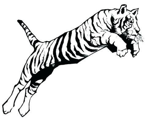 tiger coloring pages ideas  awesome pattern
