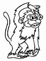 Colorat Animale Maimute Planse P12 Imagini Desene Plansa Desen Mamun Primiiani Bende Sende şafak Yarın Vakti sketch template