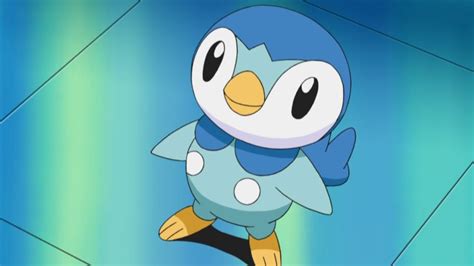 japanese pokemon fans pick piplup   cutest starter pokemon
