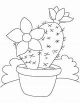 Cactos Molde Mexicano Bordar Cacti Bordado Colorir Cacto Saguaro Suculentas Succulents Desenhos Blossoms Gless Intentar Tecido Riscos Graciosos Kleurplaten Schattige sketch template