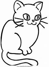 Gatti Gatto Chats Pisicuta Colorat Mamiferos Mignon Colorir Katzen Animales Kucing Gato Stampare Coloratutto Dessins sketch template