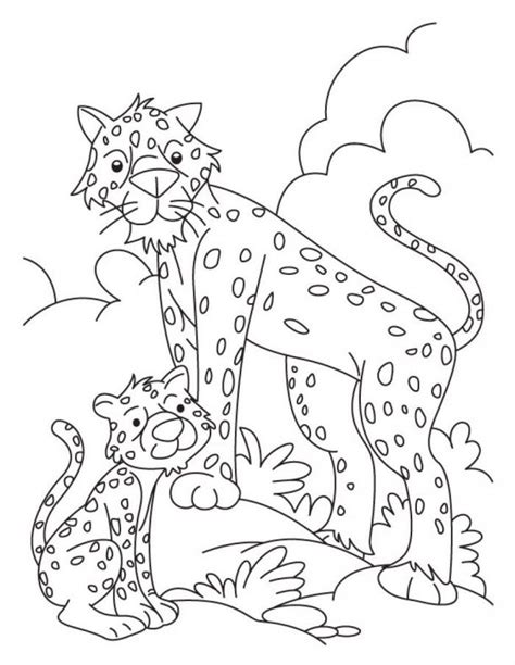 tiger cub coloring pages coloring home