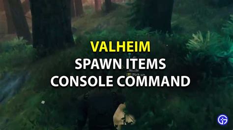 valheim spawn items console command   spawn items