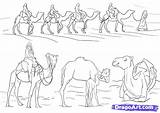 Camel Coloring Camels Caravan Desert Draw Drawing Step Animal Clipart Dragoart Drawings Library Animals 25kb 566px sketch template