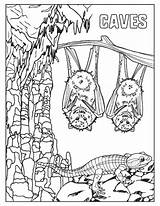 Sheets Coloring Nature Caves Museum sketch template