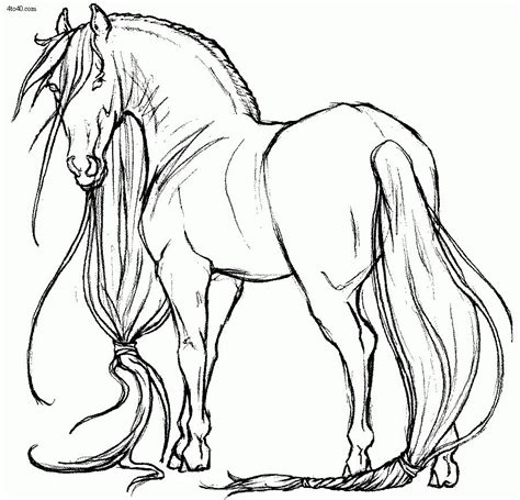 grown ups coloring pages  realistic horse letscoloritcom horse