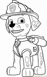 Patrol Marshall Paw Coloring Pages Drawing Ausmalbilder Colouring Print Printable Color Cartoon Clipartmag Getcolorings Getdrawings sketch template