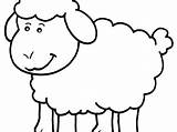 Cute Sheep Coloring Pages Getcolorings Lamb Printable sketch template