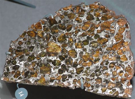 pallasite esquel meteorite  pallasite cut polished flickr