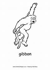 Gibbon Designlooter sketch template