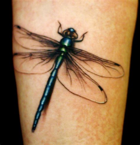 25 Best Dragonfly Tattoo Designs And Placement Ideas The Xerxes