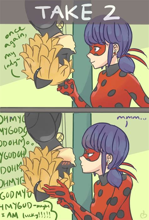Mewraculous Miraculous Ladybug Memes Miraculous Ladybug Anime