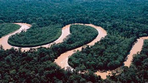 el rio amazonas se formo hace mas de  millones de anos invdes