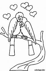Valentin Amoureux Oiseaux sketch template